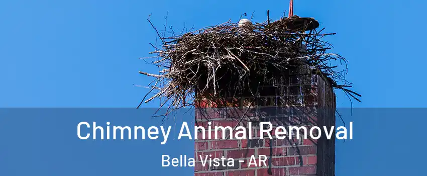 Chimney Animal Removal Bella Vista - AR