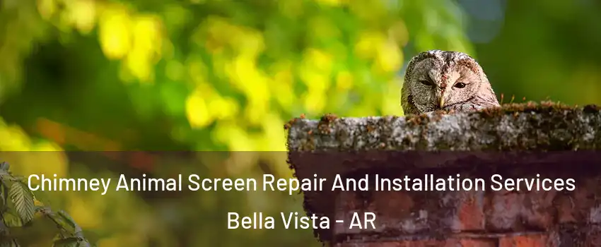  Chimney Animal Screen Repair And Installation Services Bella Vista - AR