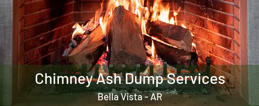  Chimney Ash Dump Services Bella Vista - AR