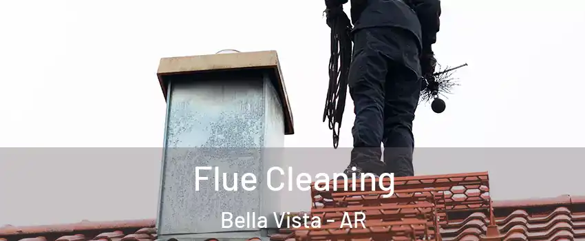  Flue Cleaning Bella Vista - AR