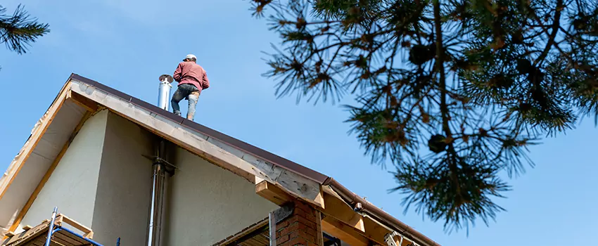 Birds Removal Contractors from Chimney in Bella Vista, AR