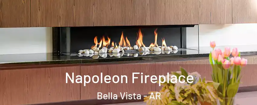  Napoleon Fireplace Bella Vista - AR